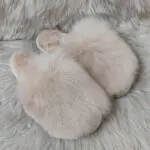 Дамски отворени чехли модел 3913 хъни