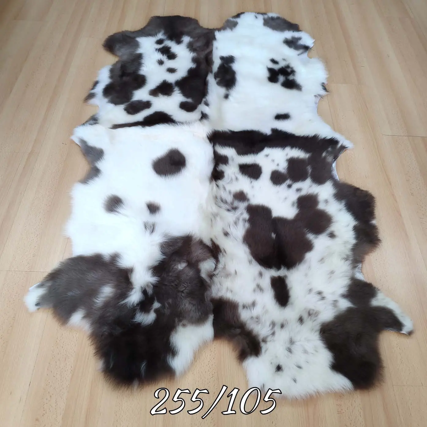 агнешка кожа за дома